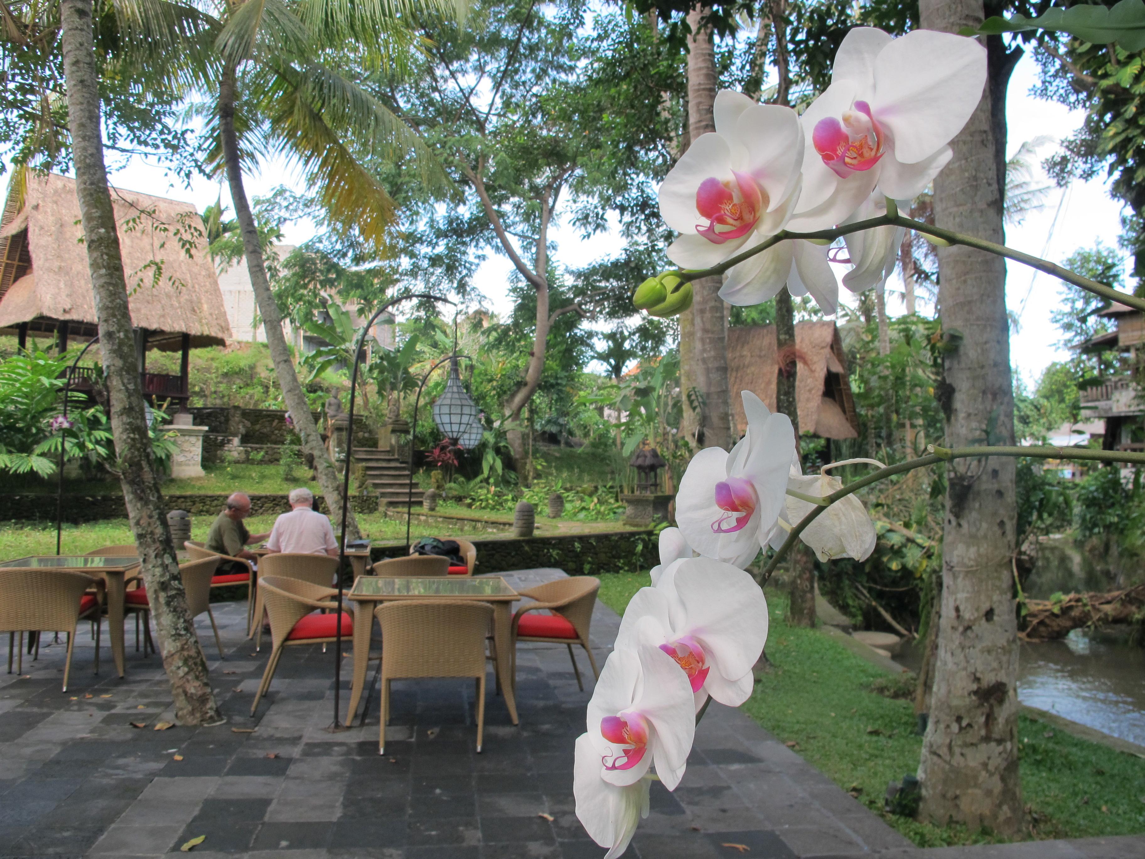 Arma Museum & Resort Ubud  Ngoại thất bức ảnh