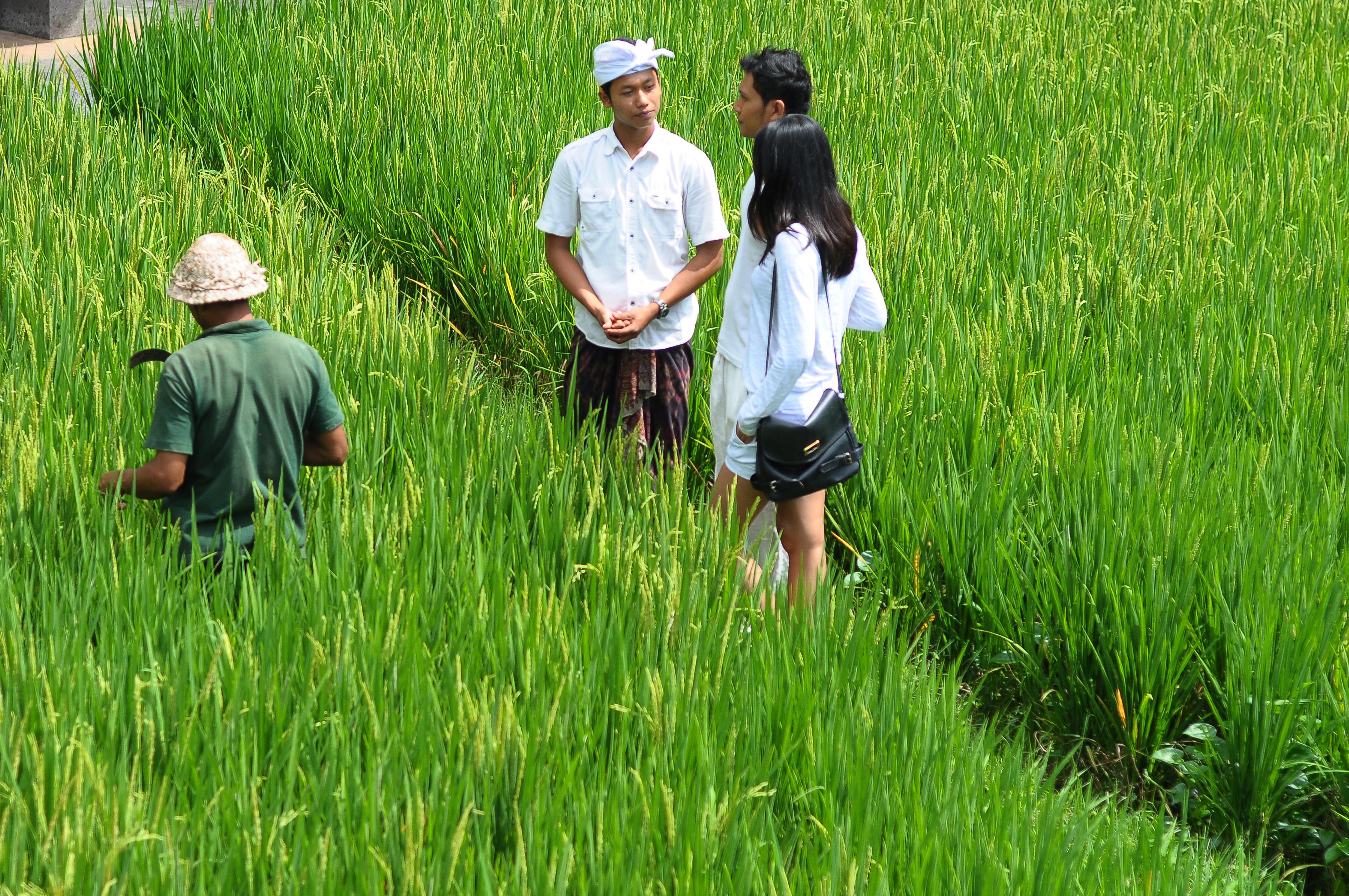 Arma Museum & Resort Ubud  Ngoại thất bức ảnh